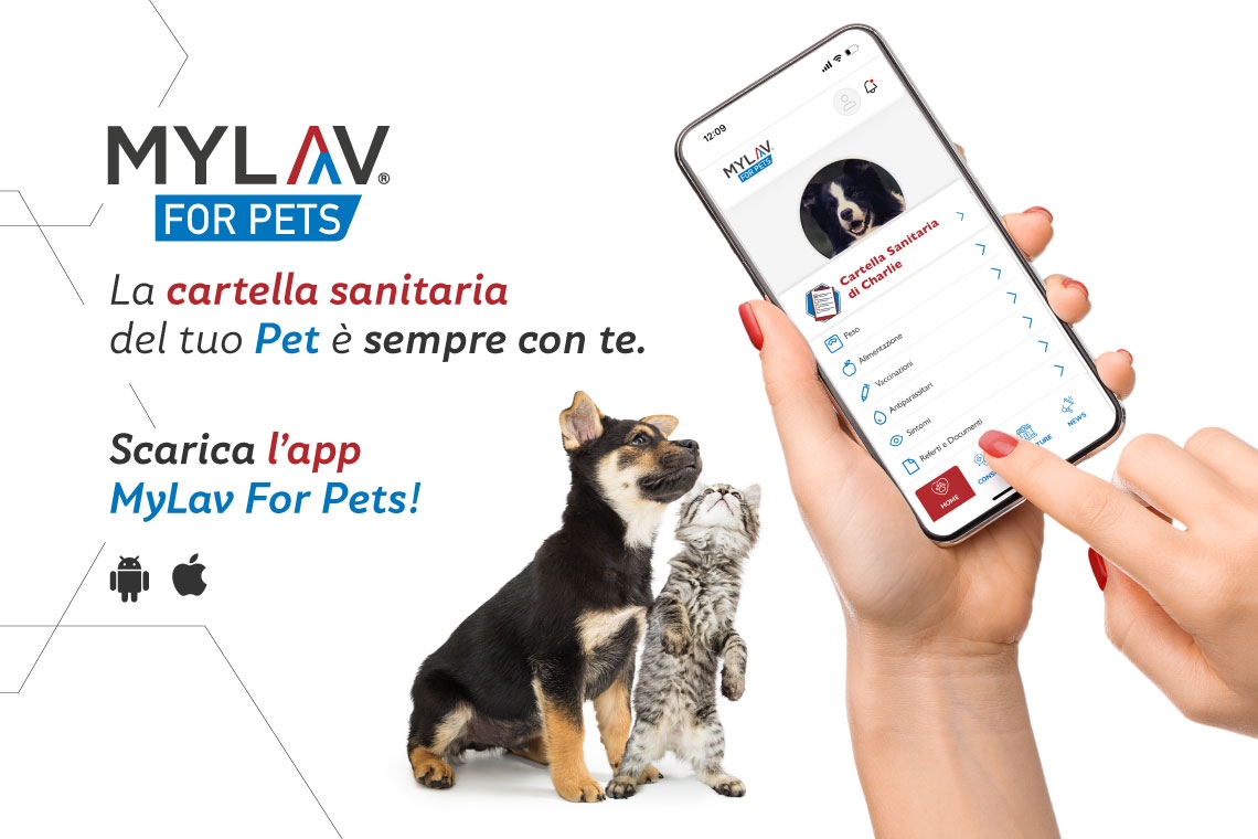 Scopri MyLavforPets: la rivoluzione nella gestione della salute del tuo animale